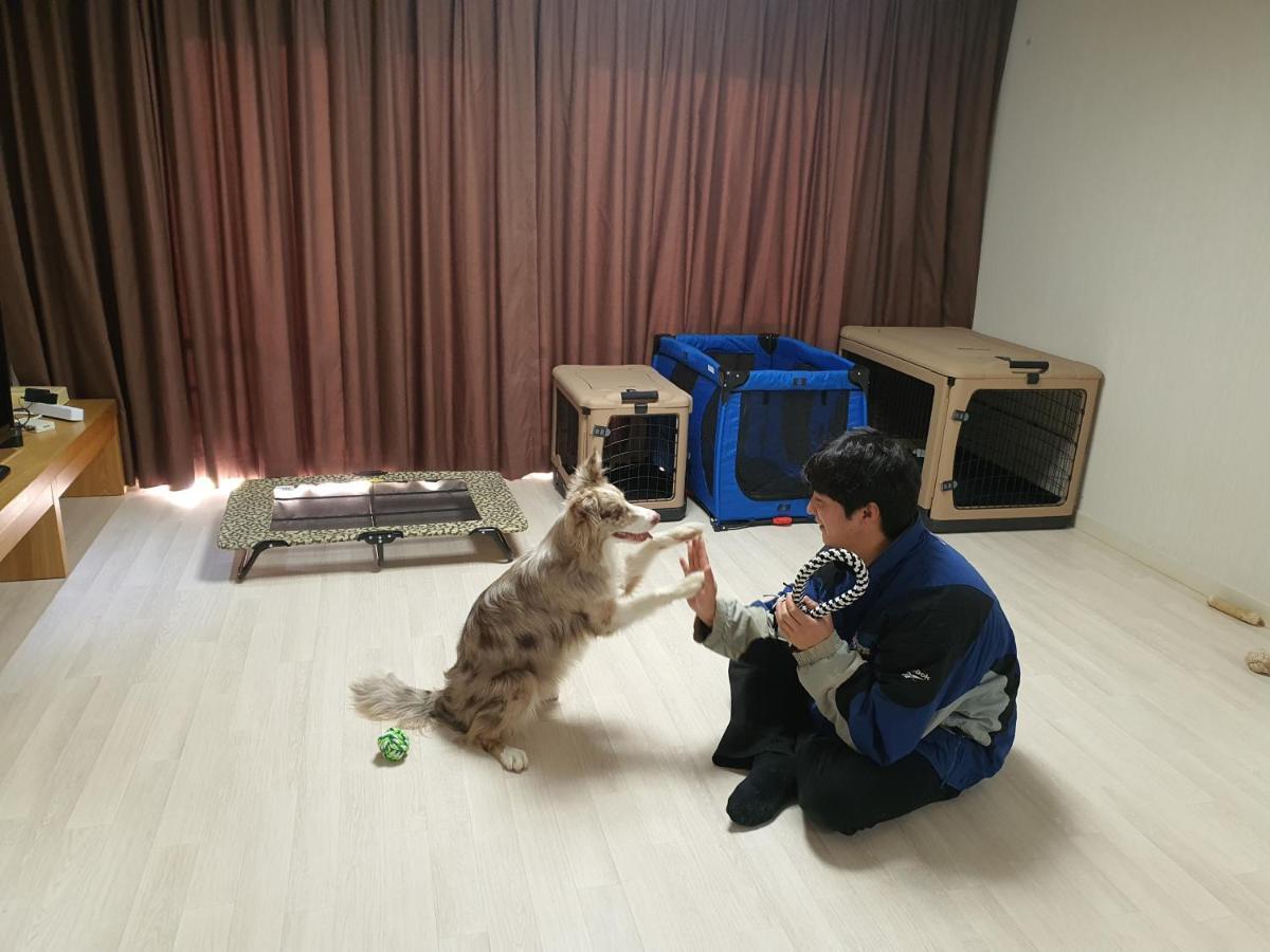 Hi Jeju Hotel Kültér fotó